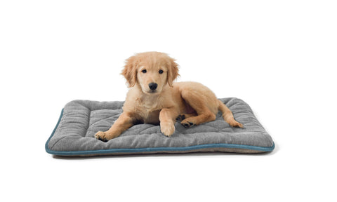 Chenille Repelz-It Sleeper Cushion, Water repellent, nano technology, stay clean, stay dry cushion, crate pad