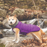 dgs outerwear, dog gone smart, repelz-it jackets, dog jackets, DGS Tamarack Jacket, indigo